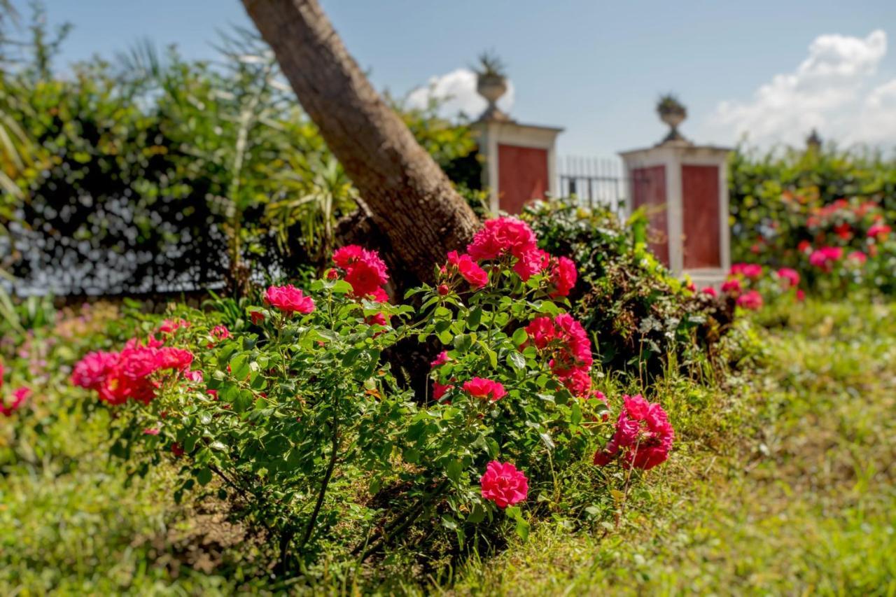 Bed and Breakfast Relais Al Castello Кастелламмаре-ди-Стабия Экстерьер фото